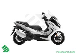 ZT368_E (2)